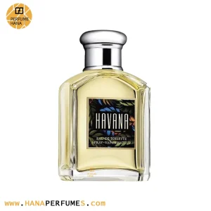 عطر ادکلن آرامیس هاوانا