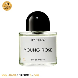 عطر ادکلن بایردو یانگ رز