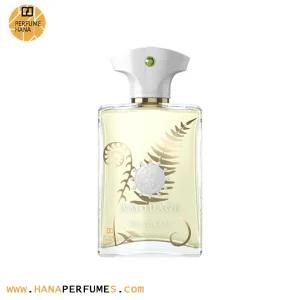 عطر ادکلن آمواج براکن مردانه | Amouage Bracken Man